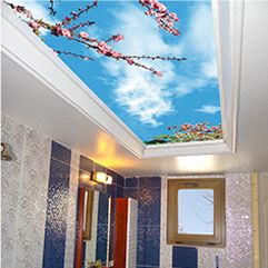 ceilling2 image ceilling2 آموزش نصب آسمان مجازی | دانلود روش اجرا و نورپردازی آسمان مجازی