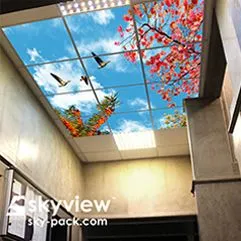 ceilling4 آموزش نصب آسمان مجازی | دانلود روش اجرا و نورپردازی آسمان مجازی