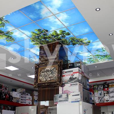 اجرای آسمان مجازی فروشگاه 