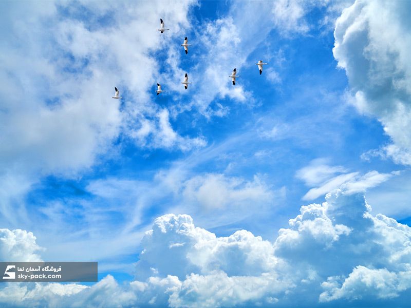 آسمان مجازی طرح کوچ مرغ دریایی و ابر