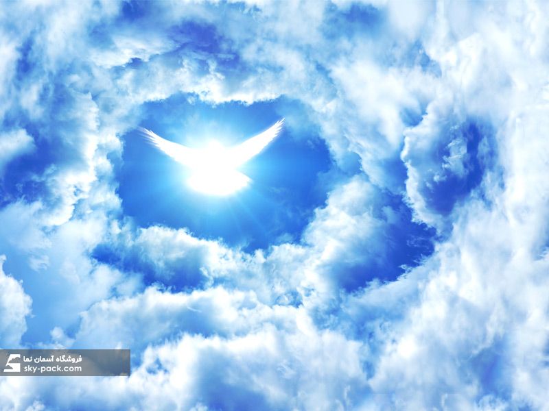 آسمان مجازی طرح پرواز پرنده در عمق ابر