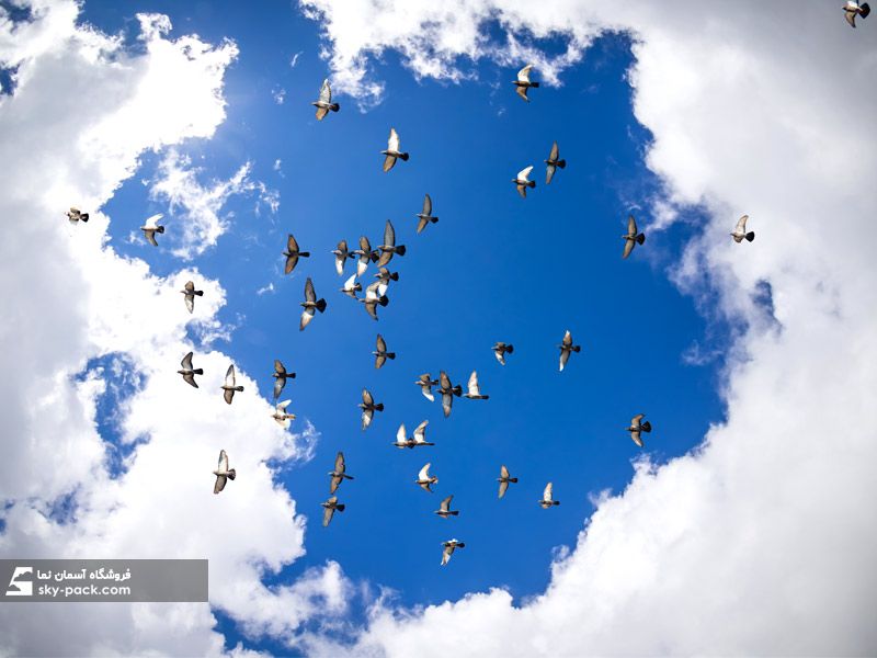 آسمان مجازی طرح پرواز در آسمان ابری