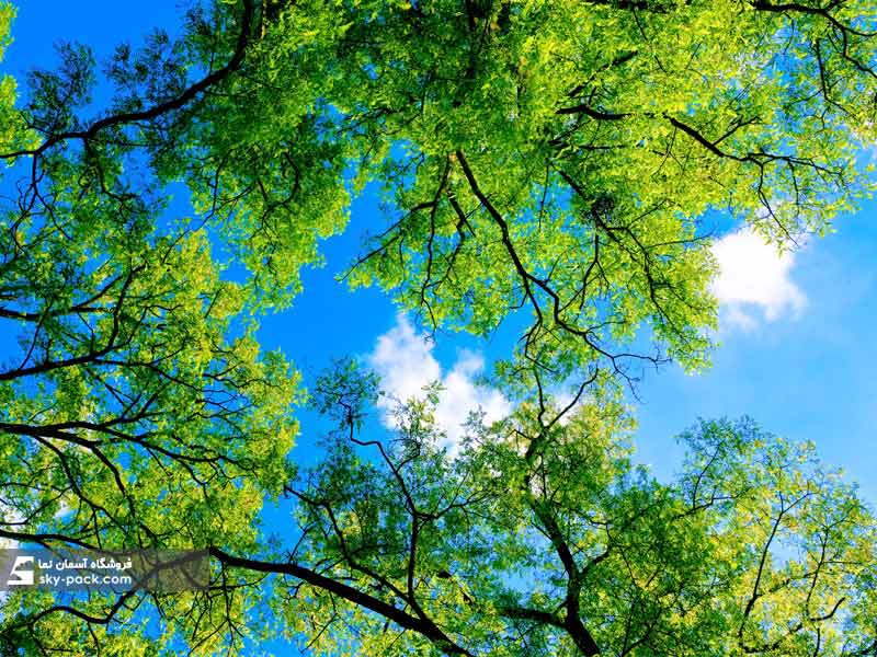 آسمان مجازی طرح درختان سبز و ابرها