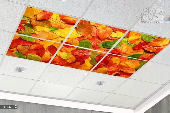 آسمان مجازی طرح پاییز رنگین