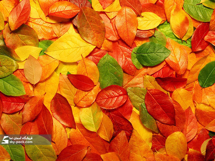 آسمان مجازی طرح پاییز رنگین
