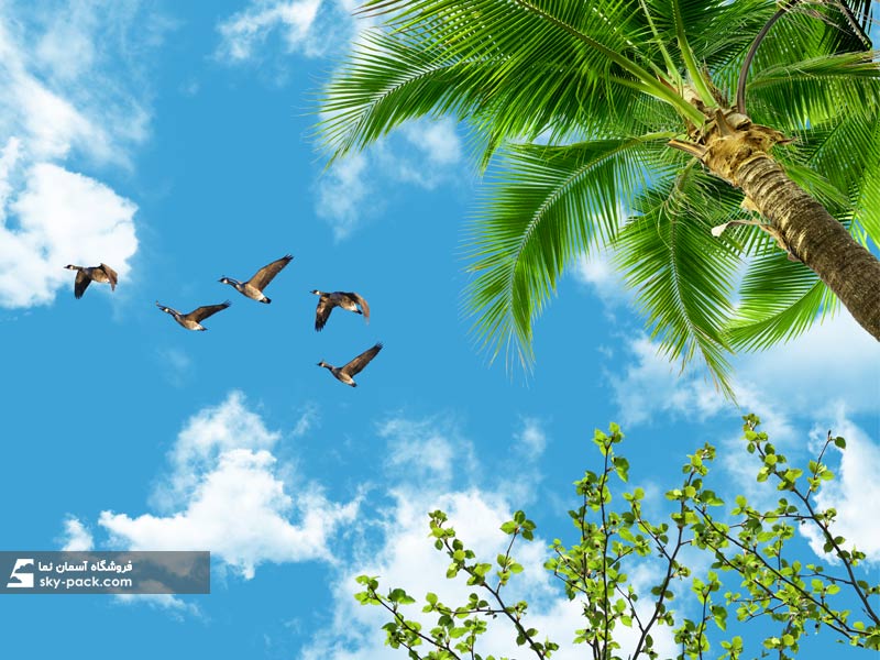 آسمان مجازی آشپزخانه طرح نخل زیبا