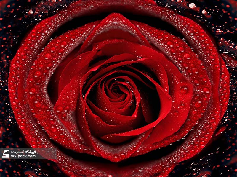 آسمان مجازی طرح گل قرمز ، کد 165006