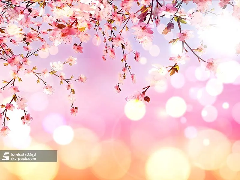 آسمان مجازی طرح شکوفه صورتی