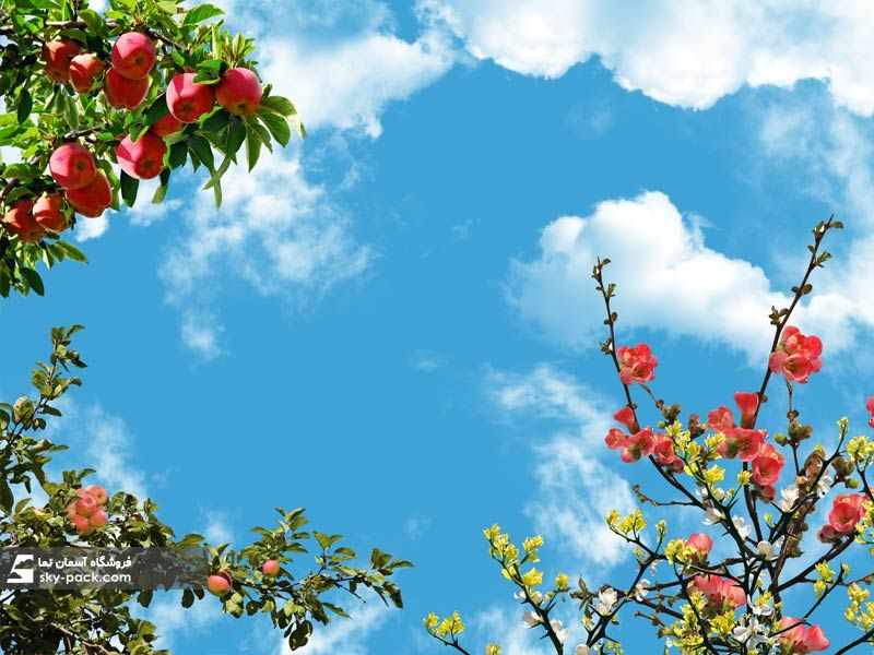 آسمان مجازی طرح درختان سیب و شکوفه ها
