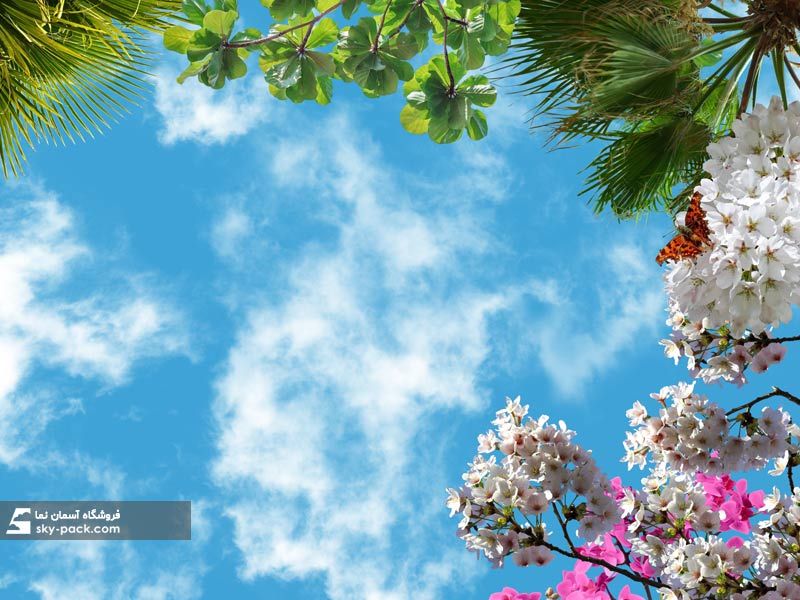 آسمان مجازی طرح درخت نخل و شکوفه ها