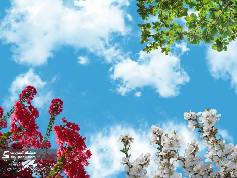 آسمان مجازی طرح گل کاغذی و شکوفه سیب