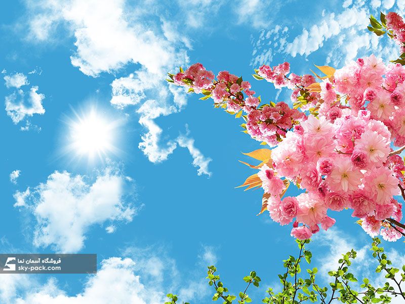 آسمان مجازی طرح گل آرامش