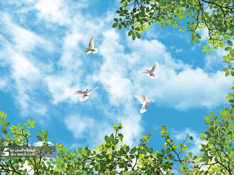 آسمان مجازی طرح حلقه سبز و کبوترها