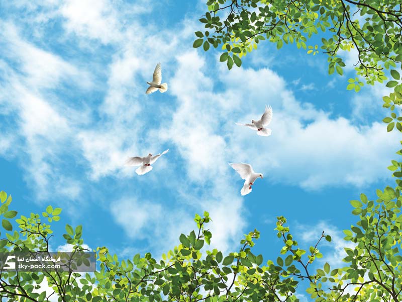 آسمان مجازی طرح درخت کبوترها