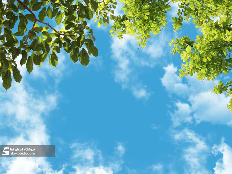 آسمان مجازی طرح درختان سبز