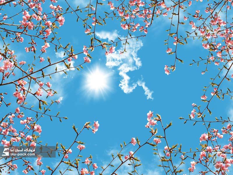 آسمان مجازی طرح گلهای ریز صورتی