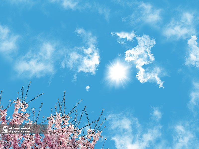 آسمان مجازی خورشید و شکوفه