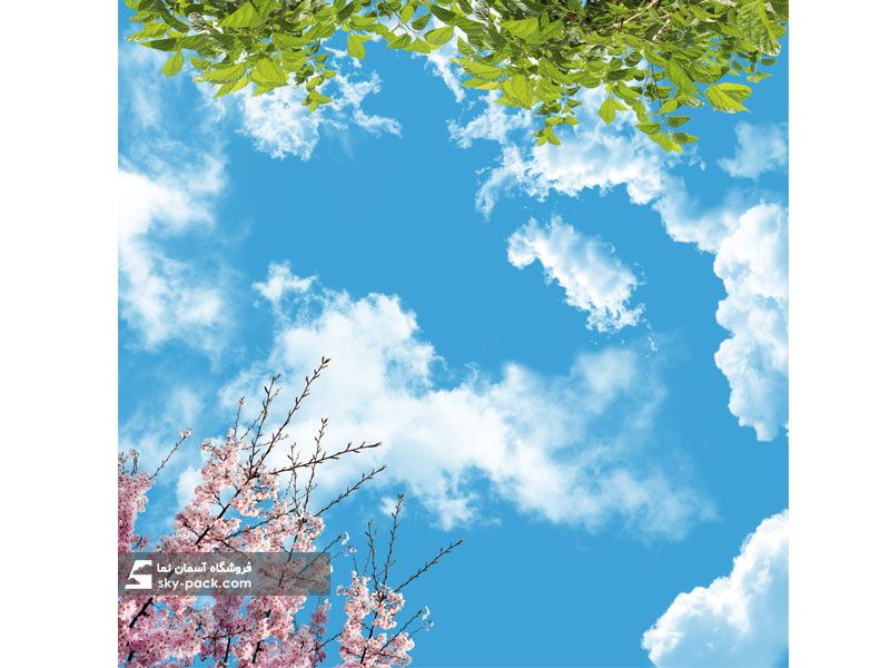 آسمان مجازی طرح برگ های درخت توت و شکوفه ها