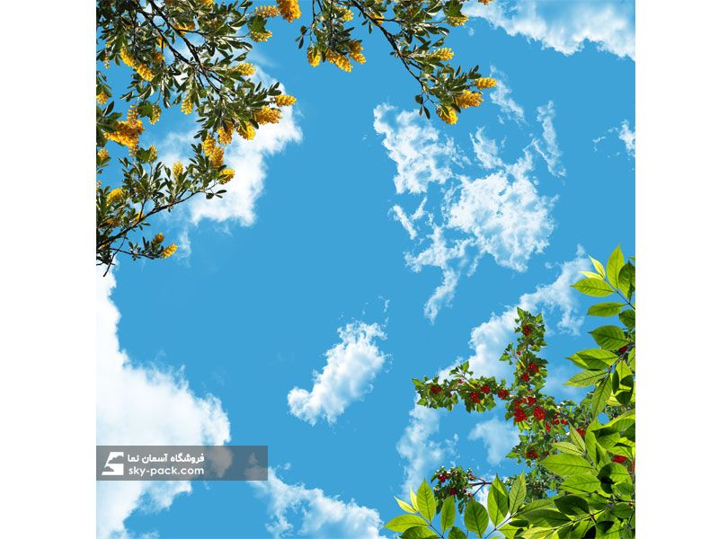 آسمان مجازی طرح درخت گیلاس و آسمان