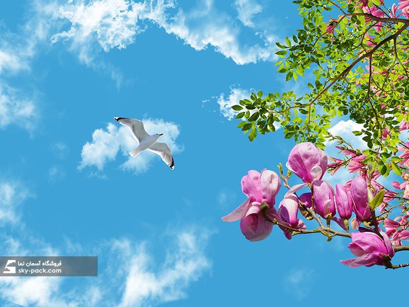 آسمان مجازی طرح پرنده و گل مگنولیا