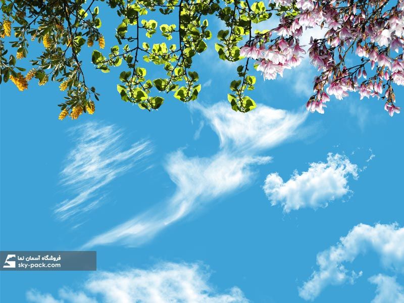 آسمان مجازی طرح گلها و برگهای ریزان