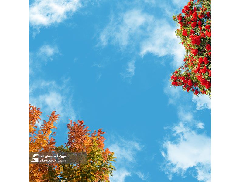 آسمان مجازی طرح پاییز رنگارنگ