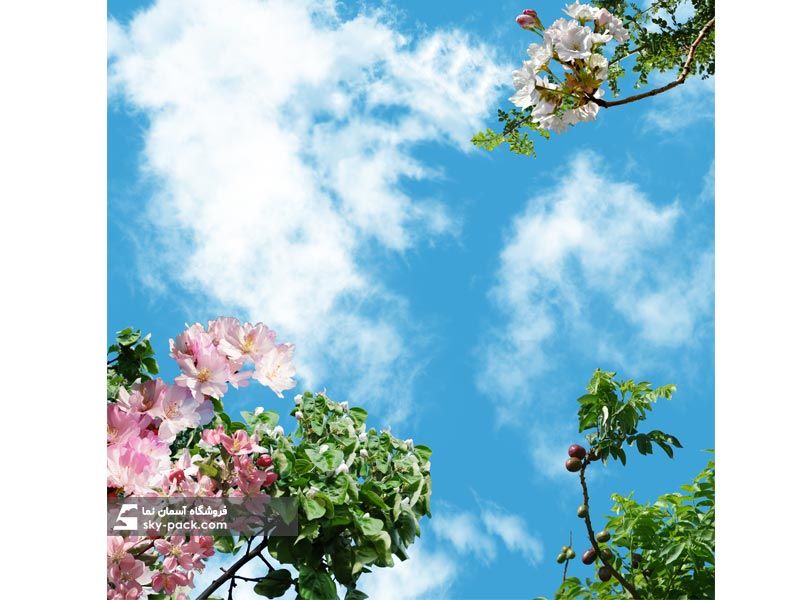 آسمان مجازی برگ های زیبای سبز