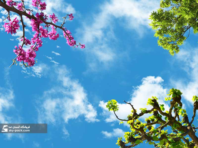 آسمان مجازی طرح درختان طبیعی سبز