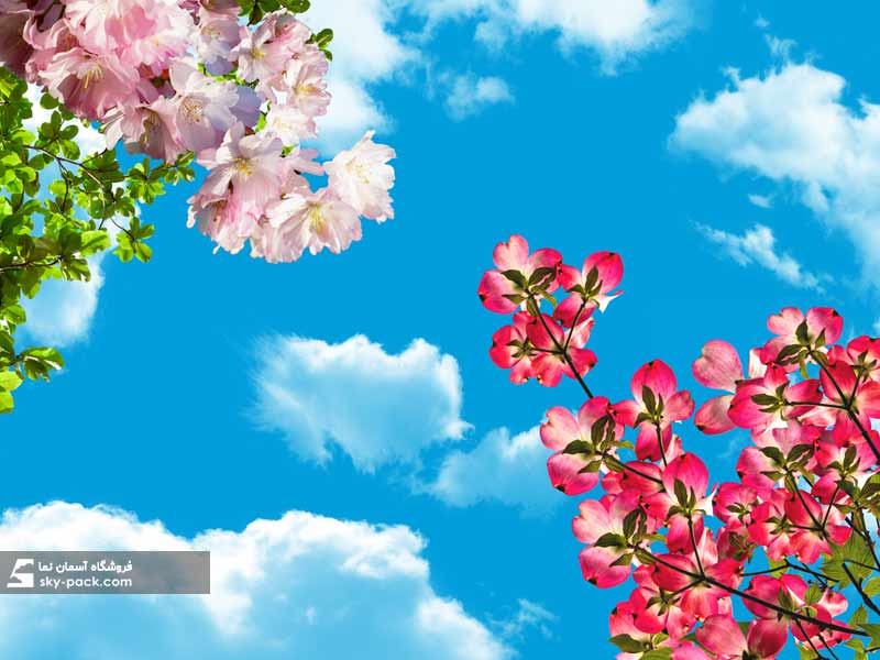 آسمان مجازی طرح گلبرگ قرمز 