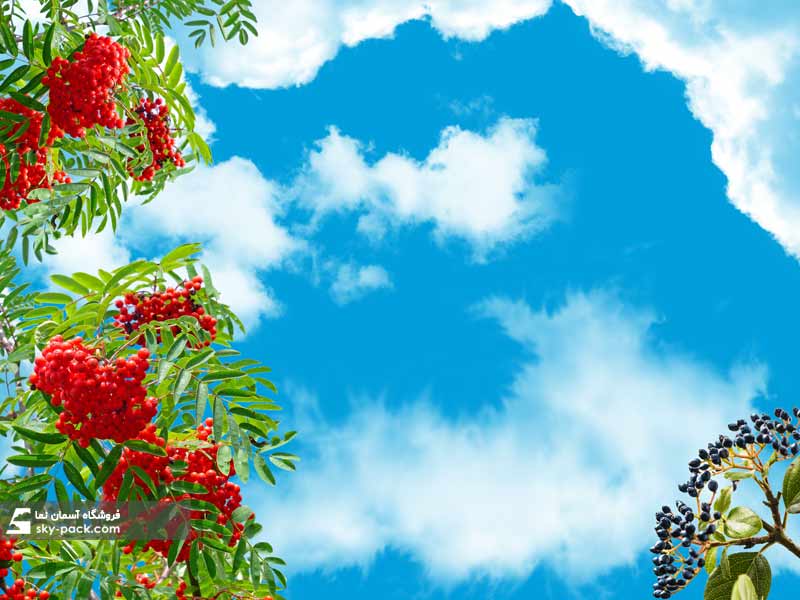 آسمان مجازی طرح درخت میوه های قرمز