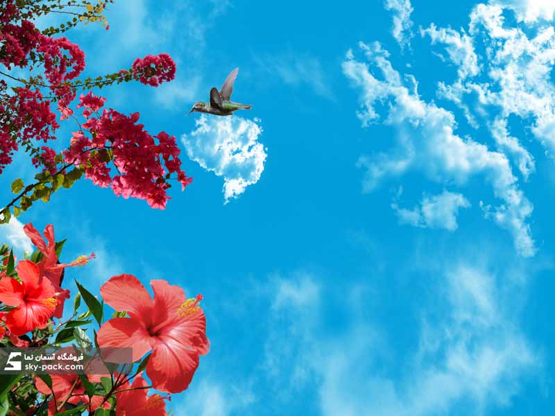 آسمان مجازی طرح گلهای کاغذی و مرغ مگس خوار