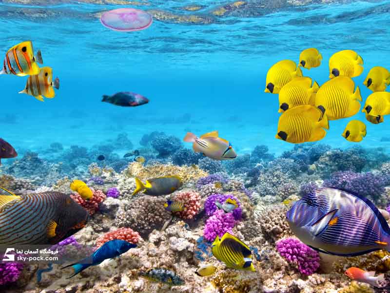 آسمان مجازی طرح  اقیانوس اطلس