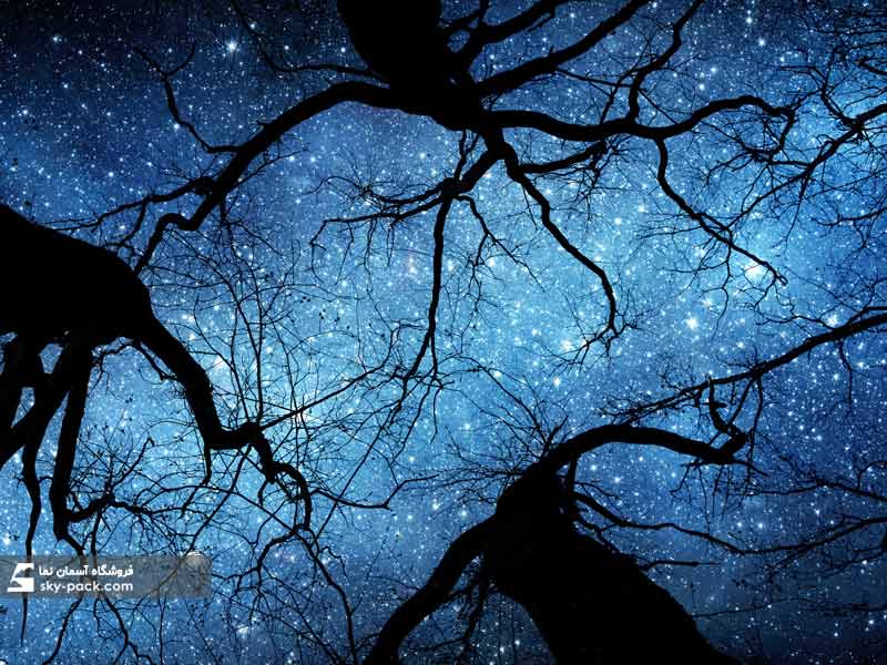 آسمان مجازی طرح آسمان شب و درخت