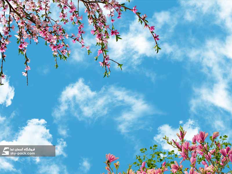 آسمان مجازی طرح شکوفه های هلو