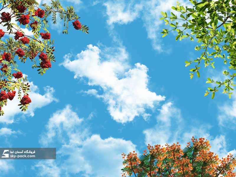 آسمان مجازی طرح گلهای تابستانی
