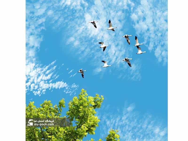 آسمان مجازی طرح قوی مهاجر
