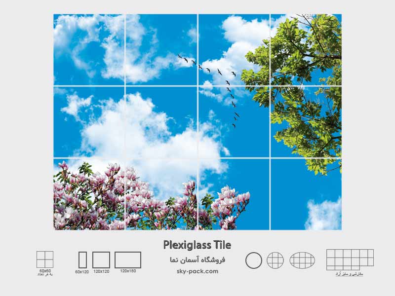 آسمان مجازی درخت ون و گل مگلونیا