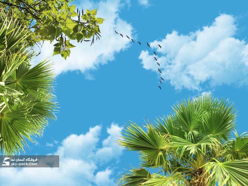 آسمان مجازی درختان سبز و آسمان