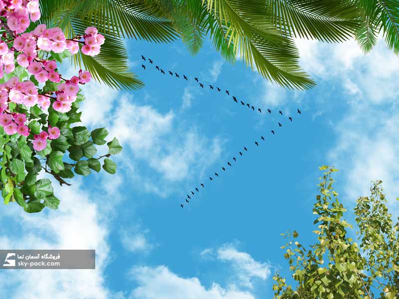 آسمان مجازی طرح اسمان و کوچ پرندگان