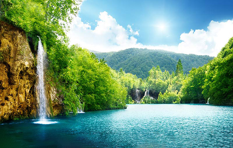 کاغذ دیواری سه بعدی طرح جنگل