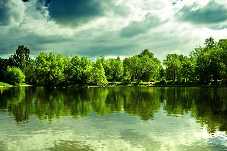  پوستر کاغذ دیواری دنیای موازی 