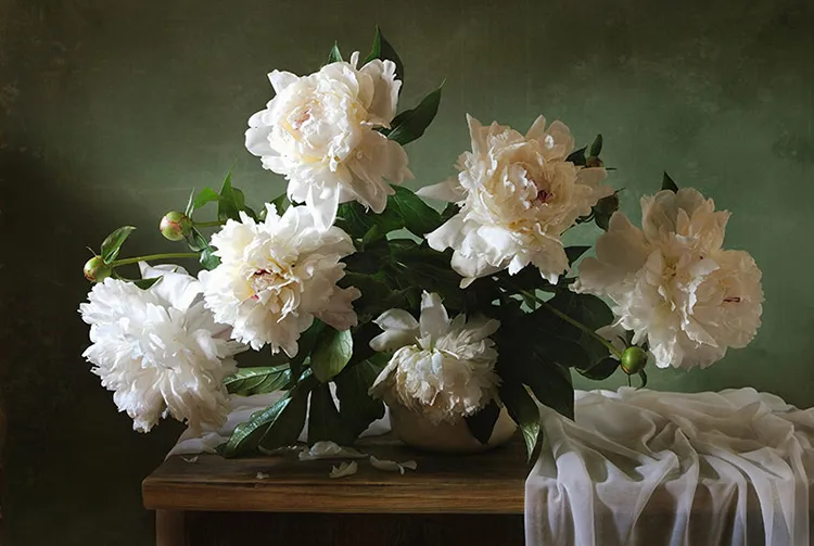  پوستر کاغذ دیواری گلهای سفید