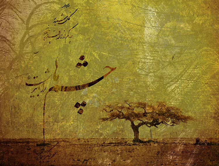 بوم کنواس چشم ها را باید شست