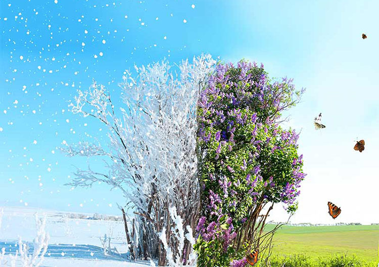 کاغذ دیواری سه بعدی زمستان و بهار