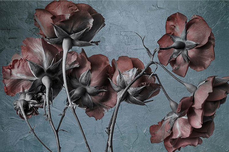 پوستر دیواری گلهای رز هنری