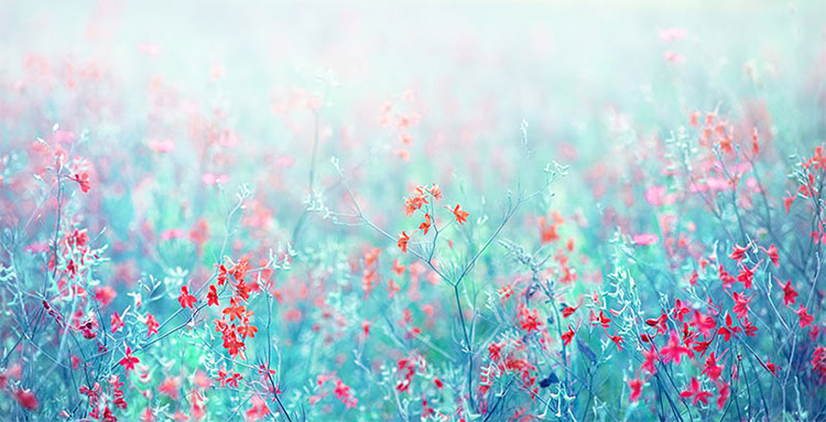 پوستر دیواری آسمان فیروزه ای