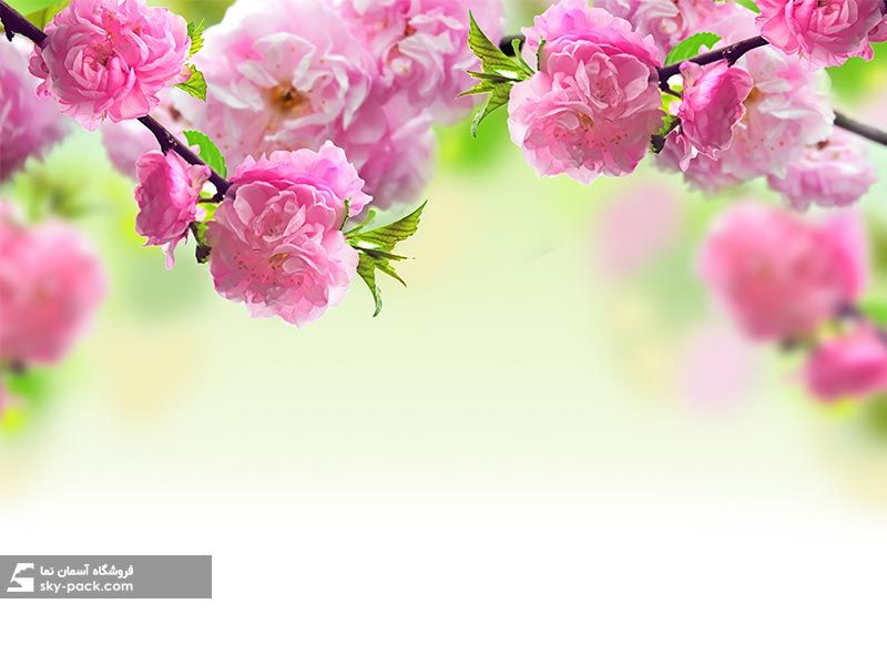 آسمان مجازی طرح گل 