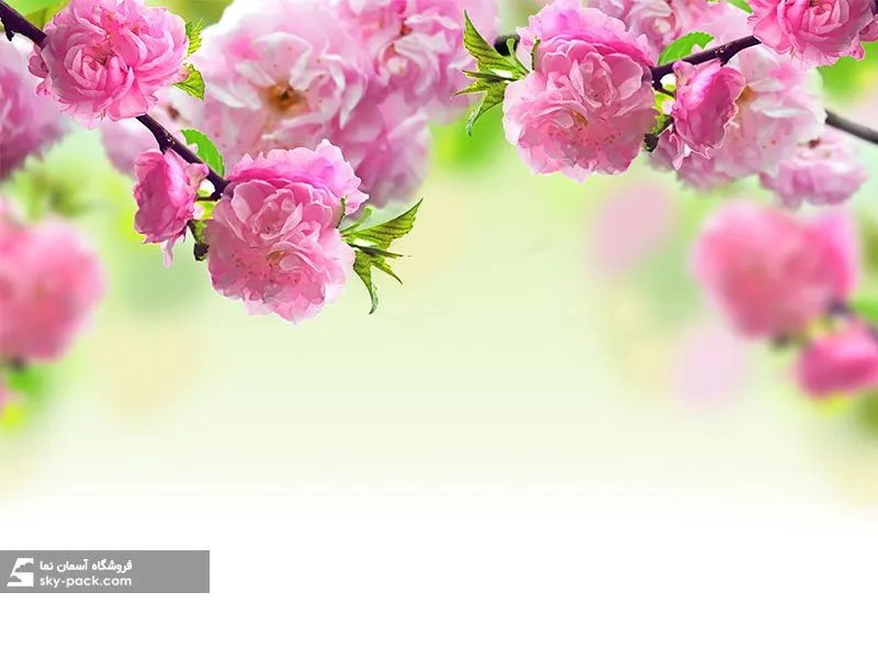 آسمان مجازی طرح گل 