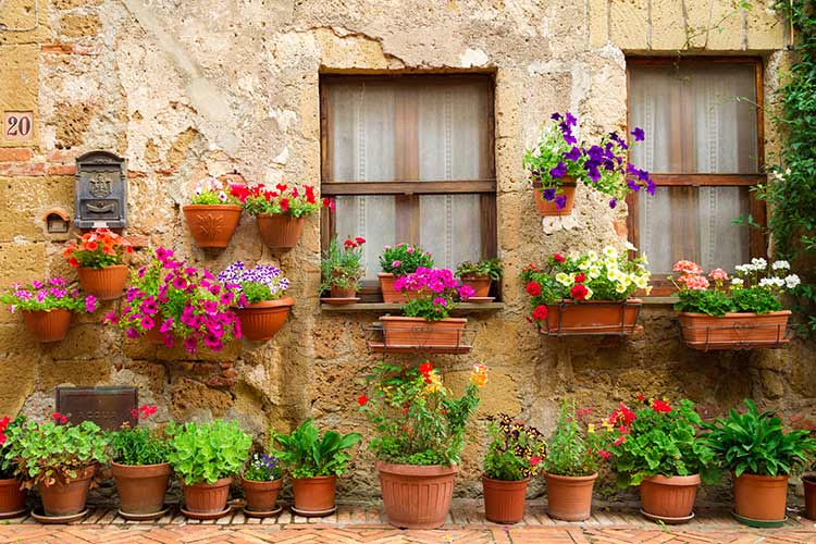 پوستر دیواری طاقچه و گلهای بهاری