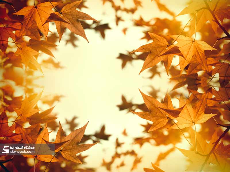 آسمان مجازی طرح برگهای پاییز